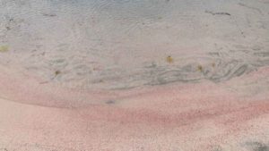 ピンクビーチの砂はホントにピンク